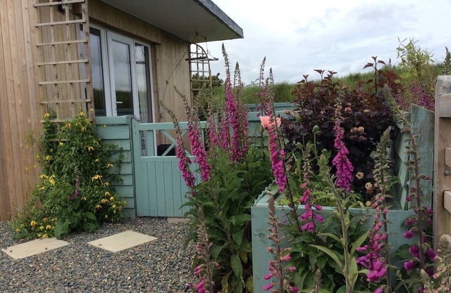 Hedgerow Hut - el escondite perfecto