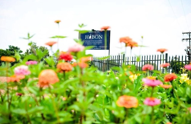 Hibon Lodge