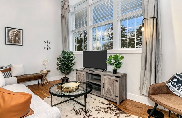 HISTORIC MODERN MIX/CUTE MAIN ST/22MIN ASHEVILLE
