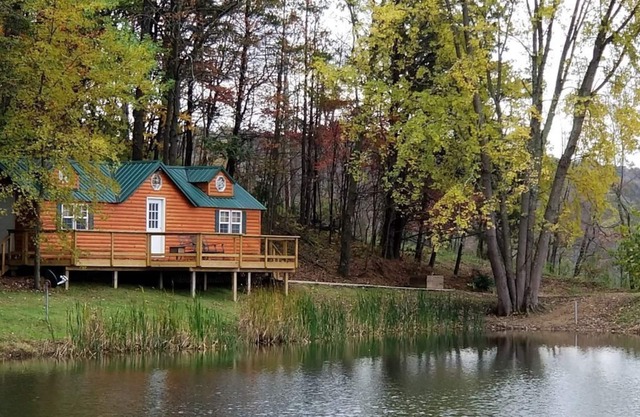 Hocking Hills-Cabaña amigable para mascotas con estanque privado