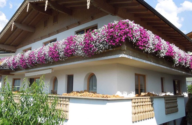 Apartamento vacacional con internet