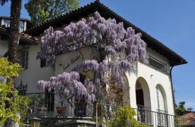 Casa de vacaciones Ronco sopra Ascona para 1 - 4 personas con 2 dormitorios - Casa de vacaciones ind