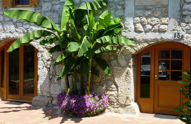 Casa de vacaciones, idílica y tranquila, 3 habitaciones para 6 personas, en Sveti Anton