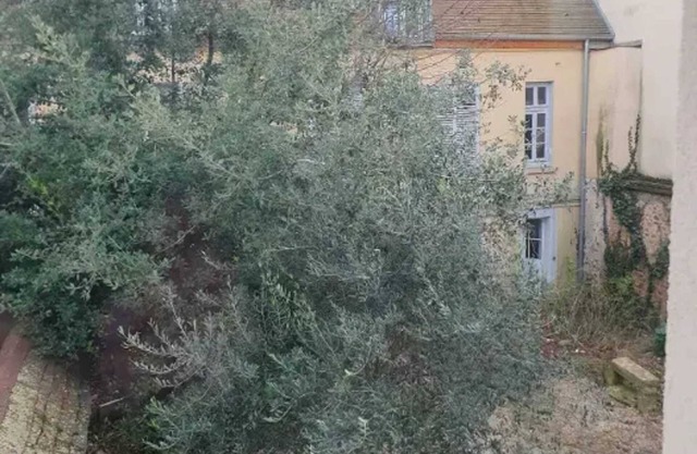Homerez - Apartamento en Limeil-Brévannes