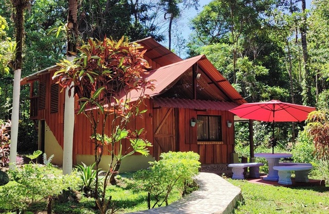 Hospedaje en Bosque Tropical Reforestado, lleno de naturaleza, paz y relajación.
