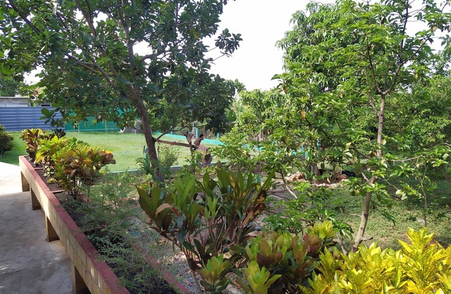 Hostal Yanelis & Harol