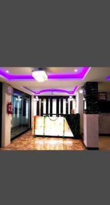Hotel Blue Bird Nest