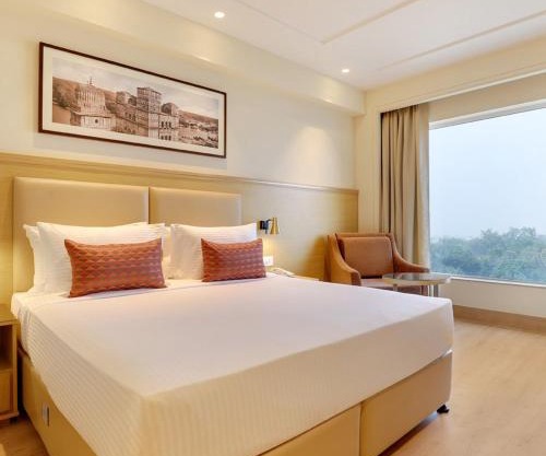 Hotel Plaza A Family Hotel Delhi Airport