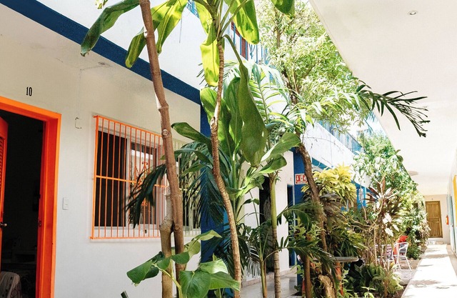 Hotel Posada Edem