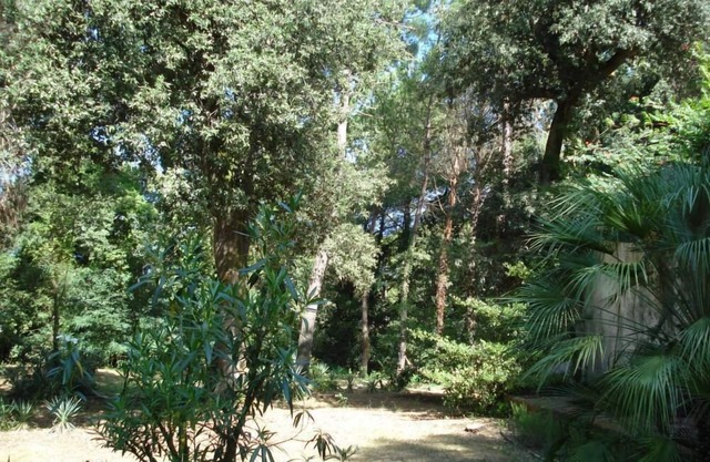 Casa con jardín y madera de pino