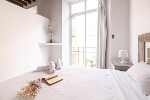 Huerto del Conde FreshApartments