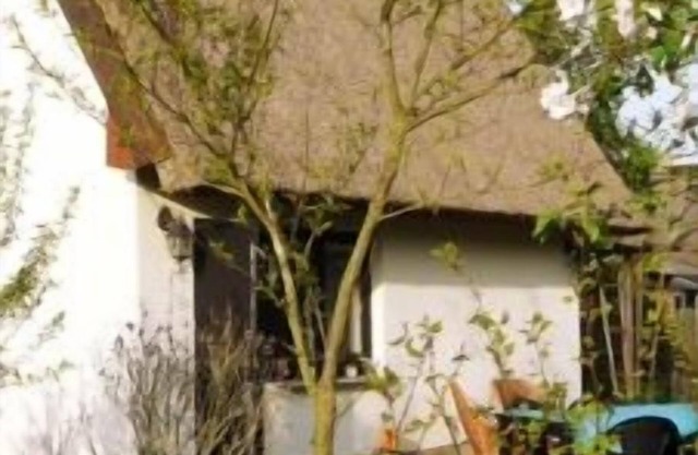 Idílica cabaña con techo de paja en el viejo Peene