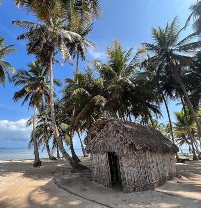 Iguana Island San Blas