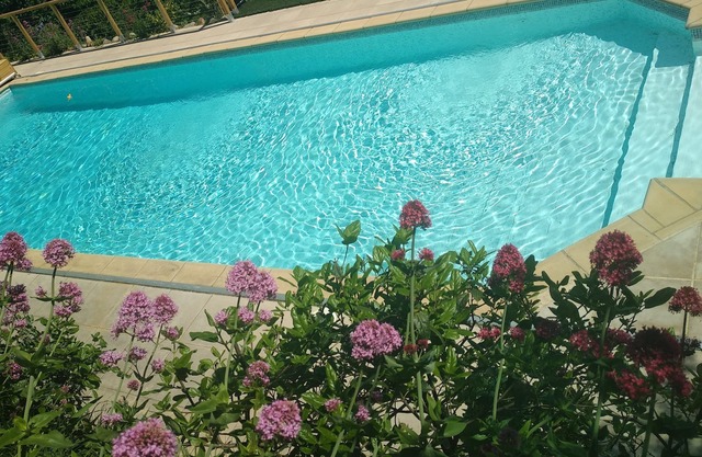In a quiet and wooded property, the Breizh cottage, ideal for the family