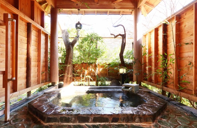 IZUNA INN & SPA - the veggie delights