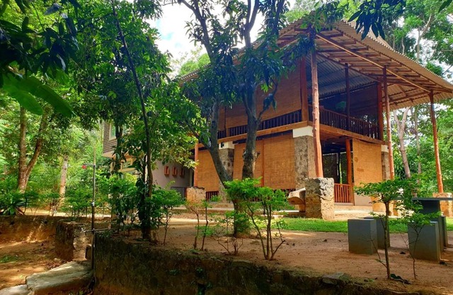 Jungle House