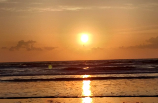 Lado este de A1A Dog Friendly Family Ocean Oasis!