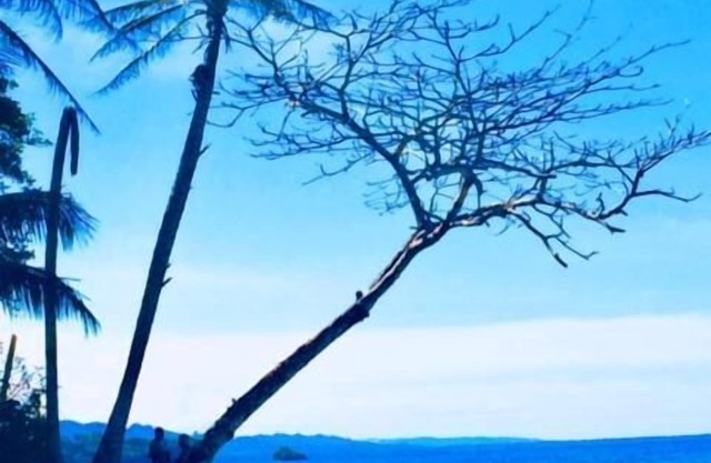 La Paz del Caribe