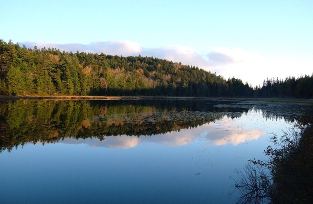 Lake Front Cottage frente al Parque Nacional Acadia en el "lado tranquilo" del monte. Desierto