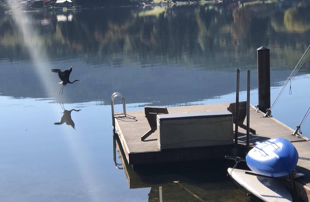 Escapada al lago Samish cerca de la montaña Galbraith, Chuckanut y el histórico Fairhaven