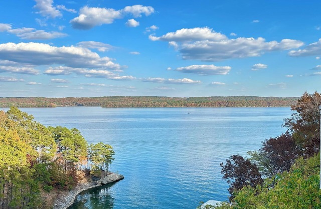 Lakefront Estate w/ sensational views, boat slip, & pool. 3 mi to State Park