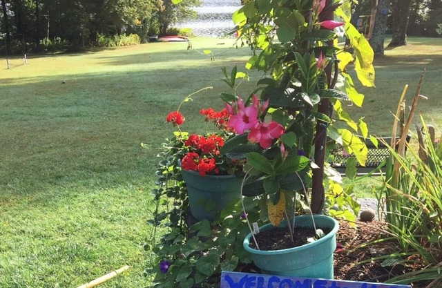 Lakefront Summer Cottages ~ ¡Reserva ahora para el verano de 2019!