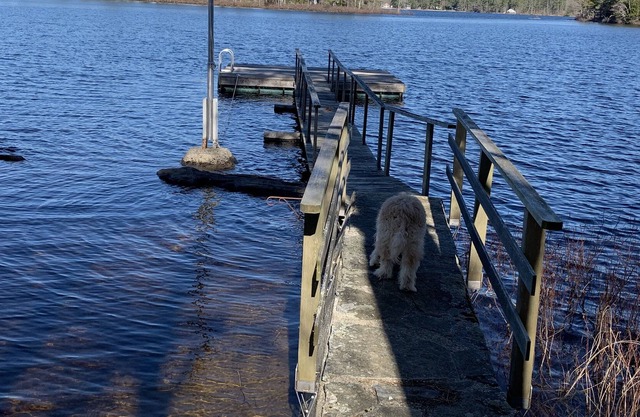 Lakeside home with dock and small beach for boating and swimming