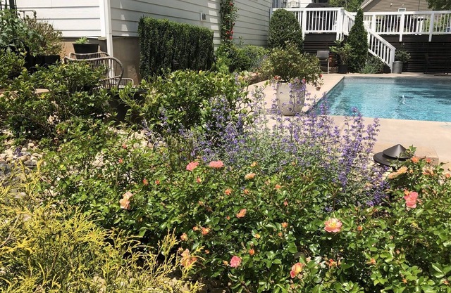 Large family friendly home with private pool