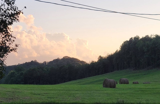 Large Home near Great Smoky Mountains and Knoxville
