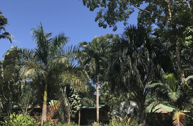 Las Casas Costa Rica un lodge privado en la selva caribeña