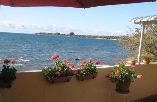 Le cactus guesthouse