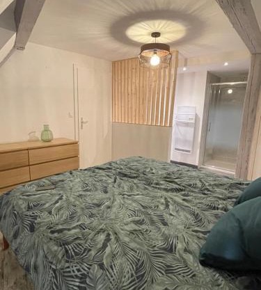Le Cosy Green - centre-ville