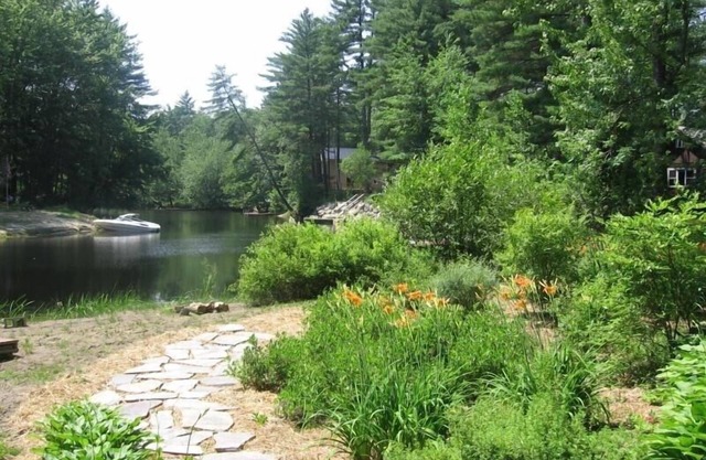 ¡Dejarlo todo atrás! Sebago Lake Area Cottage, Kayak, canoa y pescado, mascotas gratis!