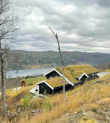 Log Cabin At The Foot Of Hallingskarvet