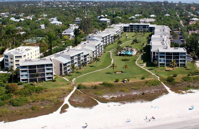Loggerhead 424