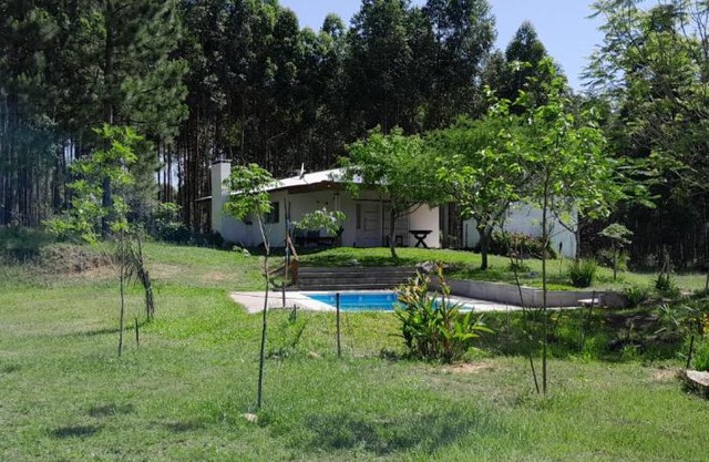 Los Agapantos