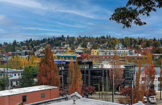 Lovely condo overlooking the Fremont Bridge