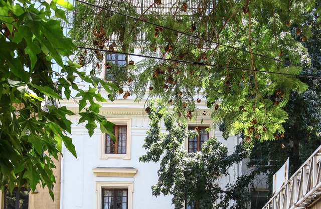 Lucia Agustina Hotel Boutique