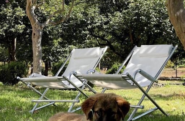 Luxurious stay at Quinta do Areal country house