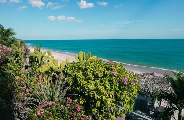 LUXURIOUS OCEANFRONT APARTMENT - CONCH SUITE