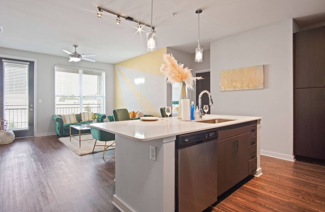 Luxury Apartment