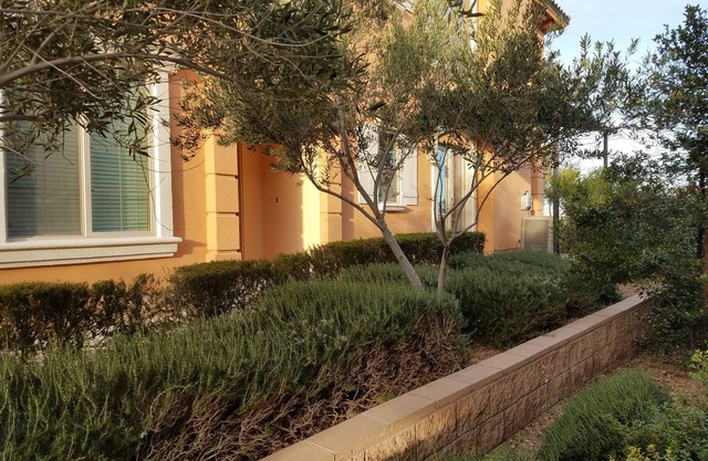 Luxury Lake Las Vegas Condo 2 habitaciones con servicios