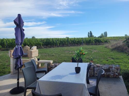 maison au cœur des vignes