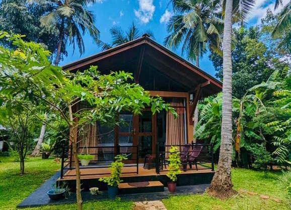 Mango Tree House