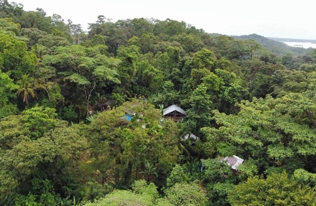 Habitación Manipura: balcón privado, hamaca e impresionantes vistas a la jungla.