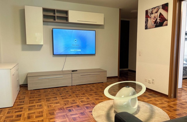 Melide lake apartment