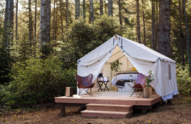 Mendocino Grove