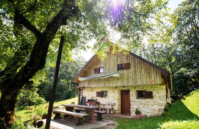 Miha Lodge in the woods with magnificent view