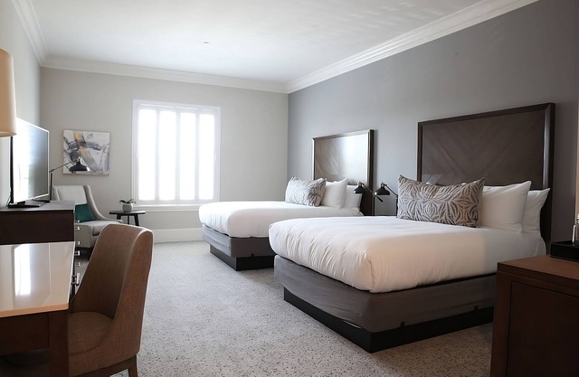 Mind-Blowing Art Experiences for All! Two Pet-friendly Units with Free Parking!