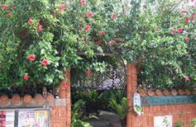 Minshuku Itoman Garigari Oshiro - Vacation STAY 25712v